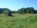 tn_gallery_325_26_264651.jpg