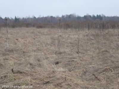 post-54922-0-02562600-1425921353_thumb.j