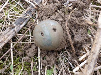 post-54922-0-08467200-1425921309_thumb.j