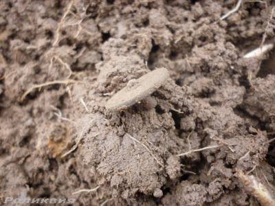 post-54922-0-11763700-1425921213_thumb.j