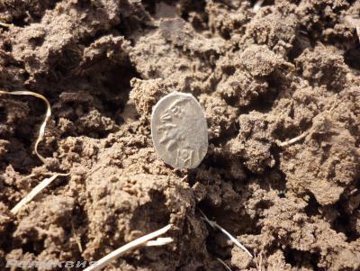 post-54922-0-17271500-1427481254_thumb.j