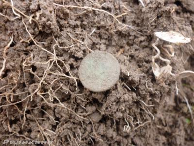 post-54922-0-26201000-1425921145_thumb.j