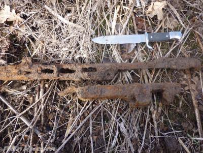 post-54922-0-27143000-1427033777_thumb.j