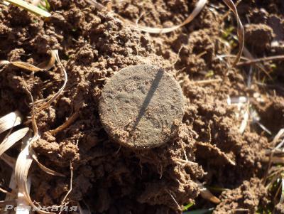 post-54922-0-37123600-1426346537_thumb.j