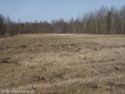 post-54922-0-55799300-1427481039_thumb.j