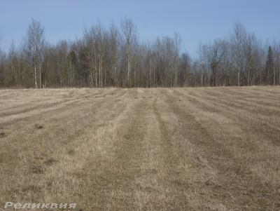 post-54922-0-67790200-1427481021_thumb.j