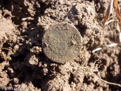 post-54922-0-86091200-1426346495_thumb.j