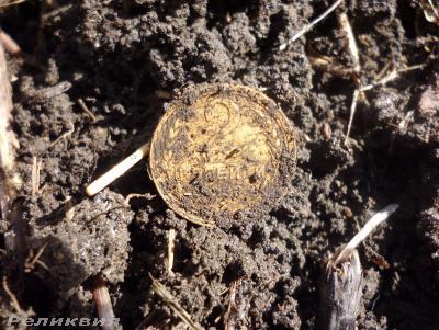 post-54922-0-91730000-1427033757_thumb.j