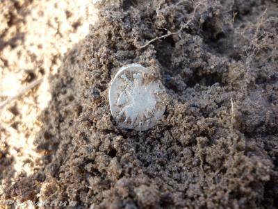 post-54922-0-95730400-1426346471_thumb.j