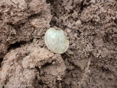 post-54922-0-23697300-1428161627_thumb.j