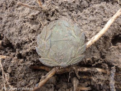 post-54922-0-43247300-1429189875_thumb.j