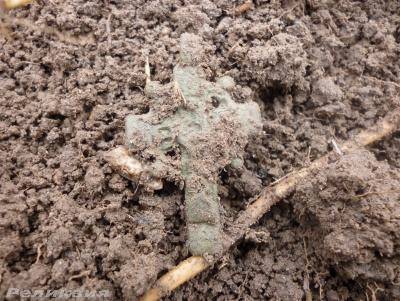 post-54922-0-56720200-1428161540_thumb.j