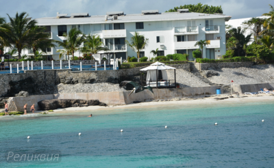 post-60094-0-11880000-1448372971_thumb.p