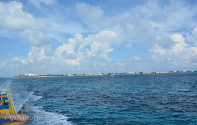 post-60094-0-19164300-1448365097_thumb.p