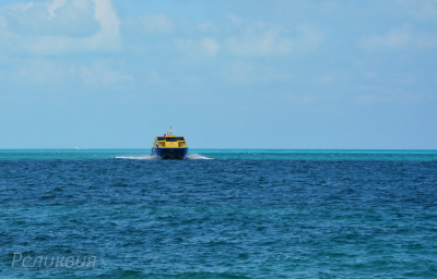 post-60094-0-23228000-1448364859_thumb.p