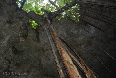 post-60094-0-26484400-1448458677_thumb.p