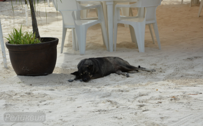 post-60094-0-34791700-1448365060_thumb.p