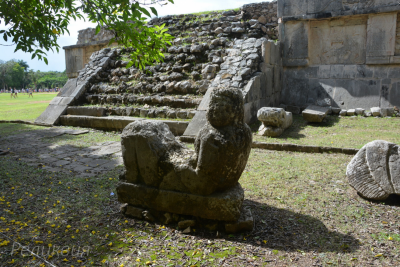 post-60094-0-44620700-1448452858_thumb.p