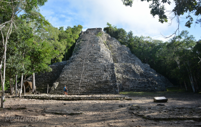 post-60094-0-49166300-1448452385_thumb.p