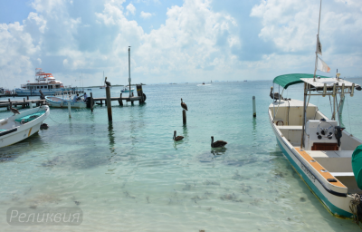 post-60094-0-62719800-1448364951_thumb.p