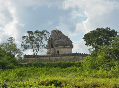 post-60094-0-65594400-1448452998_thumb.p