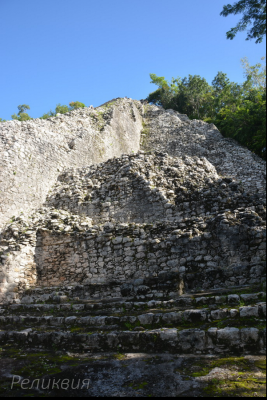 post-60094-0-78970400-1448452418_thumb.p