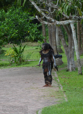 post-60094-0-81791100-1448452675_thumb.p