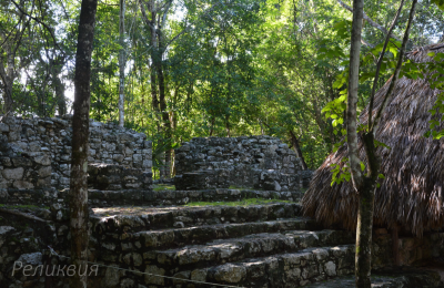 post-60094-0-82151400-1448452458_thumb.p