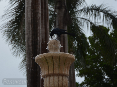 post-60094-0-86178400-1448453402_thumb.p