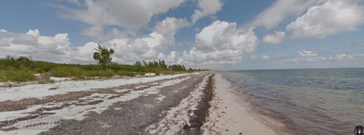 post-60094-0-97583800-1448903627_thumb.p